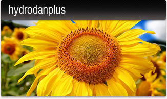 Hydrodan_thumb-(1).jpg
